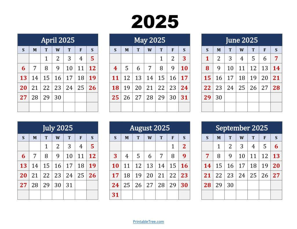 Six Month Calendar 2024-2025 Printable Pdf- 6 Months Calendar | 6 Month Printable Calendar 2025