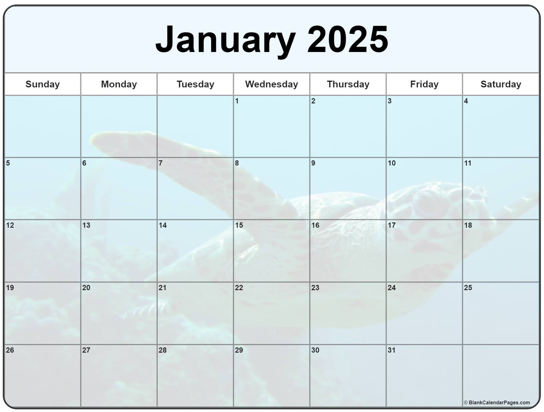 Collection Of January 2025 Photo Calendars With Image Filters. | Calendar 2025