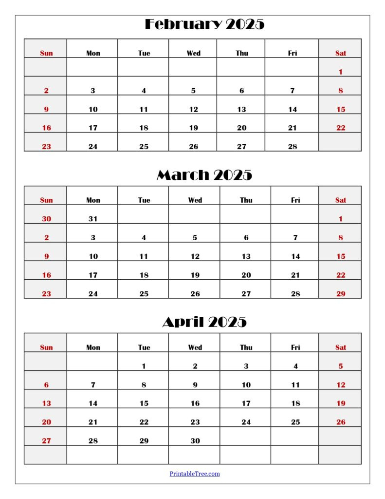 March To May 2025 Calendar Printable Pdf | Three Months Calendar | February March April May 2025 Calendar