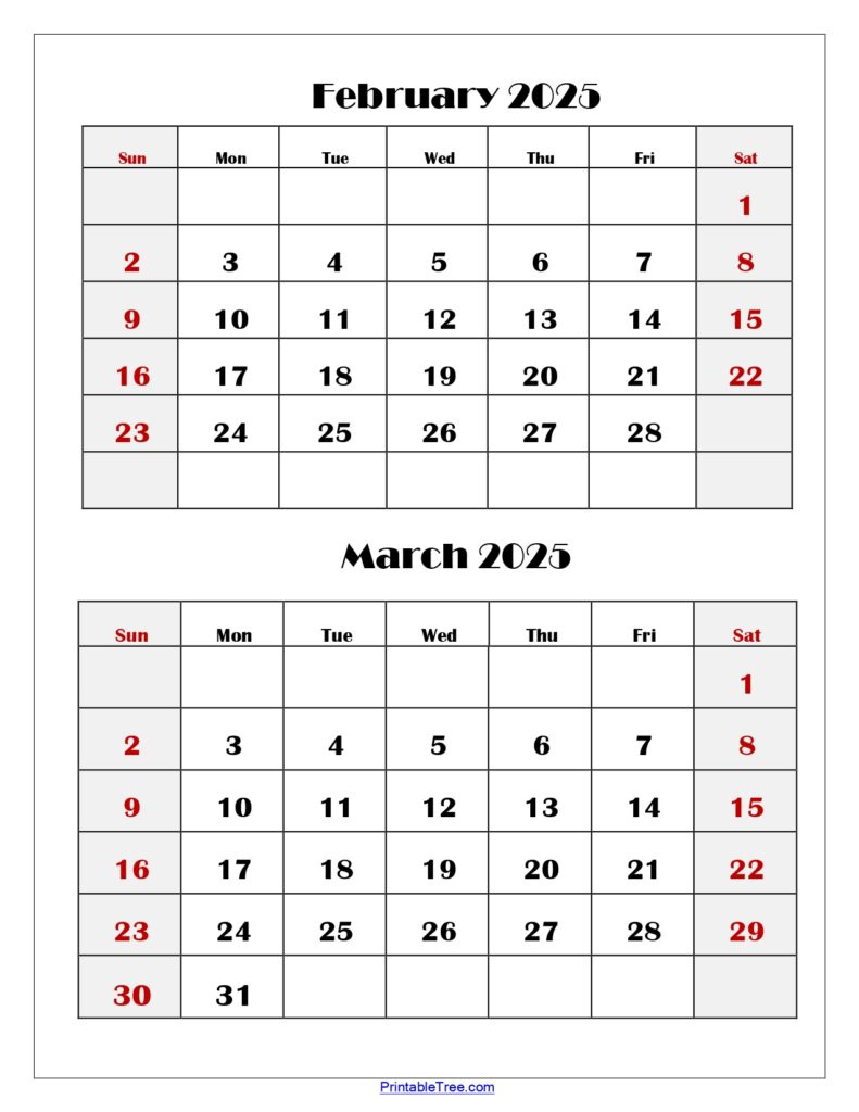 Two Months Calendar 2024-2025 Printable Pdf | Double Month Calendar | Calendar 2025