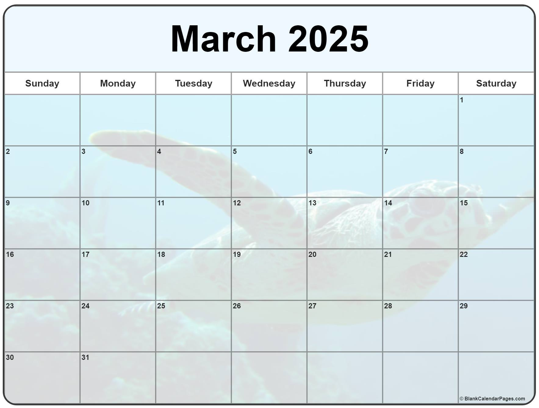 Collection Of March 2025 Photo Calendars With Image Filters. | Calendar 2025